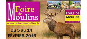 Foire Moulins 2016