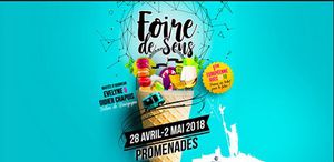 Foire de Sens 18